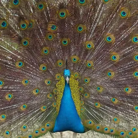 D'hotes Etretat Отель типа 