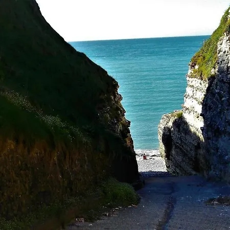住宿加早餐酒店 D'hotes Etretat Les Loges (Seine-Maritime)