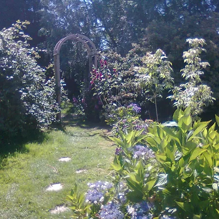 Bed & Breakfast D'hotes Etretat Les Loges (Seine-Maritime)
