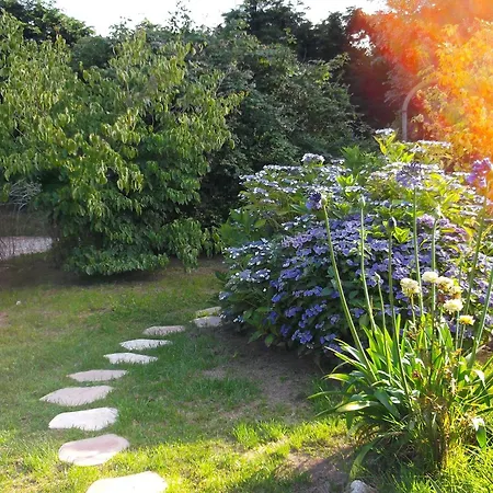 Bed & Breakfast D'hotes Etretat