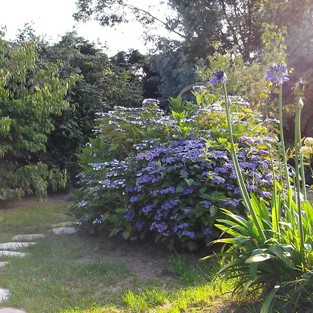 D'hotes Etretat Отель типа 